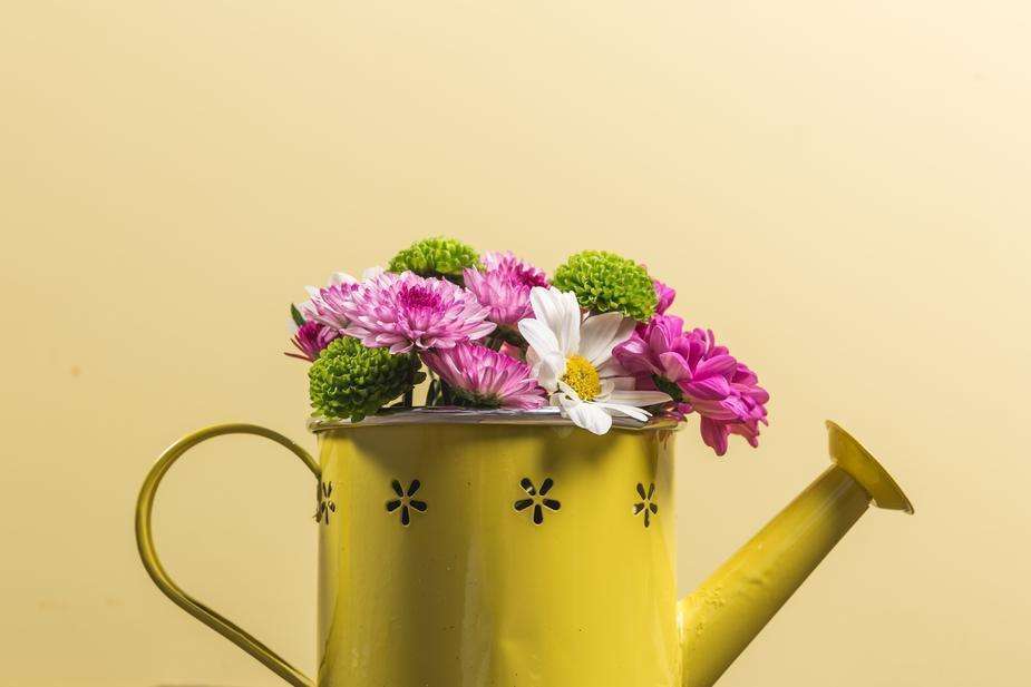 Yellow watering can Rustic LTD KK