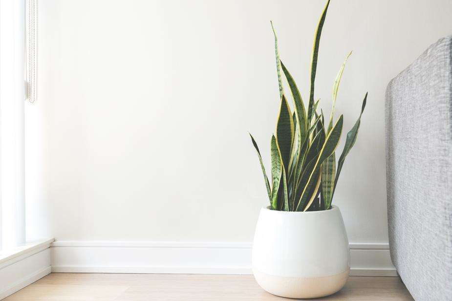 White Ceramic Pot Testing Rustic LTD KK